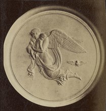 Medallion with relief carving; about 1870 - 1890; Albumen silver print