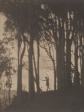Dancing Nymph; Arthur F. Kales, American, 1882 - 1936, about 1917; Platinum print; 27.1 x 20.4 cm 10 11,16 x 8 1,16 in