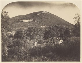 Mt. Ophir; Carleton Watkins, American, 1829 - 1916, 1860; Salted paper print; 31.4 x 41.1 cm 12 3,8 x 16 3,16 in