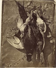 Still Life of Game Bird with Feathers; Charles Nègre, French, 1820 - 1880, 1855 - 1860; Albumen silver print