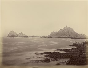 Seal Point from the West End, Farallons; Carleton Watkins, American, 1829 - 1916, 1867 - 1868; Albumen silver print