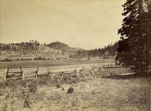View of Mt. Shasta; Carleton Watkins, American, 1829 - 1916, Mt. Shasta, California, United States; 1870; Albumen silver print