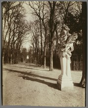 The Park, Versailles; Eugène Atget, French, 1857 - 1927, Paris, France; 1920; Albumen silver print