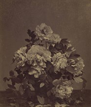 Flowers; Charles Aubry, French, 1811 - 1877, Paris, France; 1860 - 1864; Albumen silver print