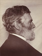 Portrait of George Davidson; Carleton Watkins, American, 1829 - 1916, San Francisco, California, United States; about 1887