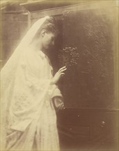 Enid; Julia Margaret Cameron, British, born India, 1815 - 1879, Freshwater, Isle of Wight, England; 1874; Albumen silver print
