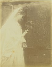 Enid; Julia Margaret Cameron, British, born India, 1815 - 1879, Freshwater, Isle of Wight, England; September 1874; Albumen