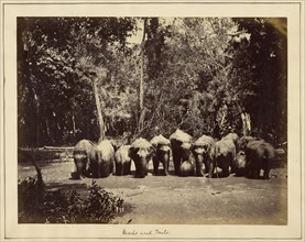 Heads and Tails; Ernest Lawton, British, active Asia 1860s - early 1880s, about 1866; Albumen silver print