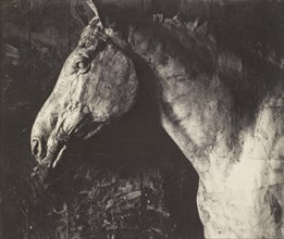 Plaster Model of Clinker for an Equestrian Relief of General Grant; Thomas Eakins, American, 1844 - 1916, 1892; Platinum print