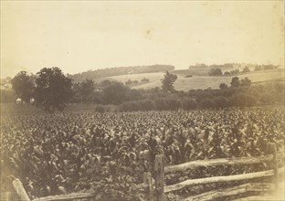 Cornfield, Avondale, PA; Thomas Eakins, American, 1844 - 1916, 1880s; Albumen silver print