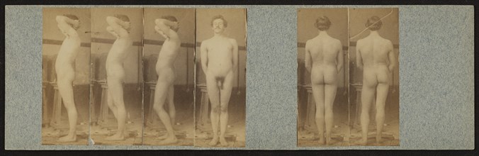 Male student; Thomas Eakins, American, 1844 - 1916, 1883; Albumen silver print