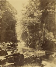 Foss Nevin, on the Conway, Wales, Roger Fenton, English, 1819 - 1869, Wales; about 1855 - 1862; Albumen silver print