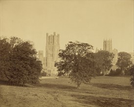 Ely Cathedral from the Park; Roger Fenton, English, 1819 - 1869, 1857; Albumen silver print