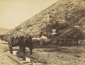 Cattle & Carts, Leaving Balaklava; Roger Fenton, English, 1819 - 1869, 1855; Salted paper print; 19.5 × 25.4 cm