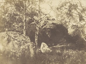 Fontainebleau; Charles Marville, French, 1813 - 1879, Fontainebleau, France; 1854; Salted paper print; 15.9 x 21.3 cm