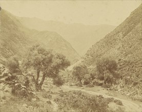 Vallée de l'Oued-el-Kabir, Algerie; Charles Marville, French, 1813 - 1879, Algeria; 1852; Salted paper print; 24.6 x 31.1 cm