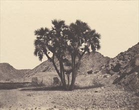 Egypte et Nubie. Sites et Monuments...Atlas Photographe...Deuxieme Partie. Nubie; Félix Teynard, French, 1817 - 1892, negative