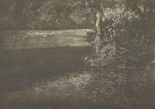 Pasture with Sheep; Gertrude Käsebier, American, 1852 - 1934, New York, New York, United States; 1905; Gum bichromate print