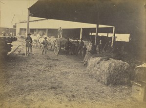 Hay Wharf, Alexandria, Va; A.J. Russell, American, 1830 - 1902, Alexandria, Virginia, United States; April 1863; Albumen silver