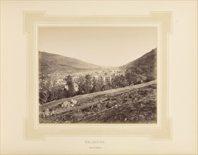 Palestine, Vallée de Naplouse; Félix Bonfils, French, 1831 - 1885, Alais, France; 1877; Tinted Albumen silver print