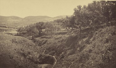 Kaleppa view of countryside; William J. Stillman, American, 1828 - 1901, 1860s; Albumen silver print