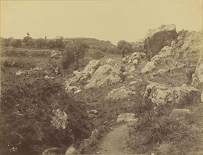 Grand ravin Kaleppa, Crete; William J. Stillman, American, 1828 - 1901, 1860s; Albumen silver print