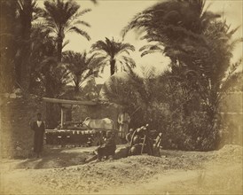 Moria Egyptienne; Attributed to Baron Paul des Granges, French ?, active Greece 1860s, 1860 - 1869; Albumen silver print