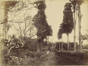 Hagia Triada - Avenue et Couvent; William J. Stillman, American, 1828 - 1901, 1860 - 1869; Albumen silver print
