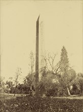 Obelisque d'Heliopolis, Cario; Attributed to Baron Paul des Granges, French ?, active Greece 1860s, 1860 - 1869; Albumen silver