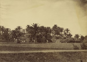 Village des Pyramides - Ghizeh; Attributed to Baron Paul des Granges, French ?, active Greece 1860s, 1860 - 1869; Albumen