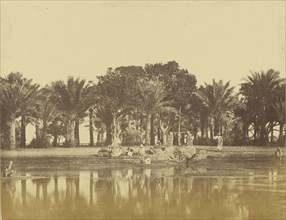 Bords du Nil; Attributed to Baron Paul des Granges, French ?, active Greece 1860s, 1860 - 1869; Albumen silver print