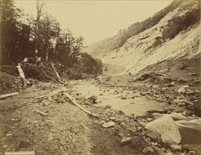 Vista cerca de Skyring Water; 1860 - 1869; Albumen silver print