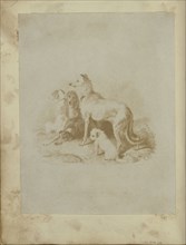 A Group of Five Dogs; British; 1840s; Salted paper print from a Calotype negative; 18.4 x 14.3 cm 7 1,4 x 5 5,8 in