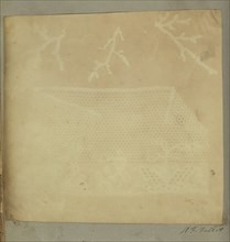 A Fragment of Lace with Three Sprigs of Moss; William Henry Fox Talbot, English, 1800 - 1877, 1839; Photogenic drawing negative