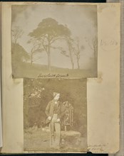 Inverleith Grounds; Attributed to Robert Adamson, Scottish, 1821 - 1848, 1843; Salted paper print from a Calotype negative