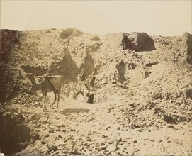 Men with camel in desert; about 1860 - 1880; Tinted Albumen silver print