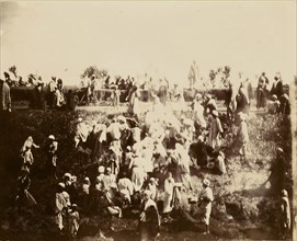 Crowd of people on hillside; about 1860 - 1880; Tinted Albumen silver print
