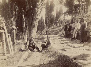 Main Turkish Cemetery of Eyub; Abdullah Frères, Armenian, active 1860s - 1890s, Istanbul, Turkey; 1858 - 1899; Albumen silver