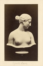 Sculptural Female Bust; British; 1870s - 1880s; Print