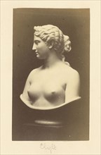 Sculptural Female Bust; British; 1870s - 1880s; Print