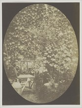 Chair and watering can in a garden; Hippolyte Bayard, French, 1801 - 1887, France; about 1843-1847; Salted paper print from a