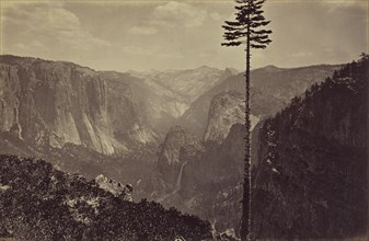 Best General View, Mariposa Trail; Carleton Watkins, American, 1829 - 1916, 1865 - 1866; Albumen silver print