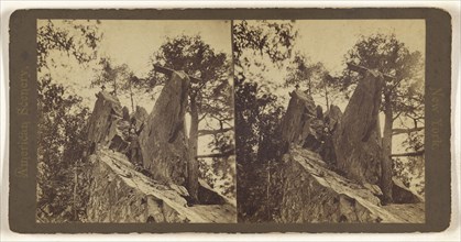 Prospect Rock. at Prospect Park, Brooklyn, New York; American; about 1865 - 1875; Albumen silver print