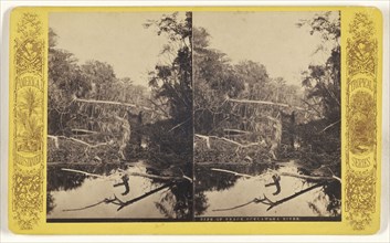 Pipe of Peace. Ocklawaha River; American; about 1870 - 1880; Albumen silver print
