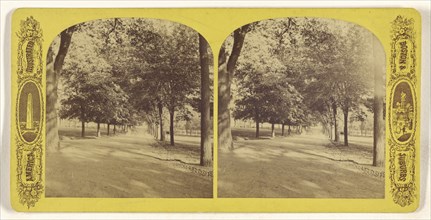 Boston Common; American; about 1870 - 1880; Albumen silver print