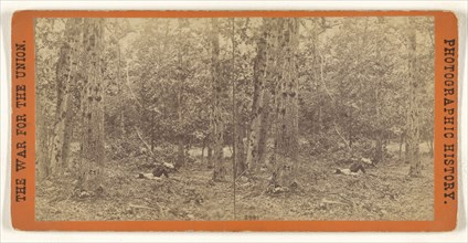 Woods on the left wing, Battle of Gettysburgh sic; Edward and Henry T. Anthony & Co., American, 1862 - 1902, July 1863; Albumen