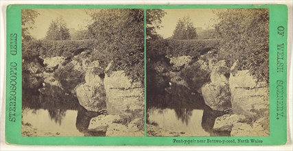 Pont-y-pair near Bettws-y-coed, North Wales; British; about 1865; Albumen silver print