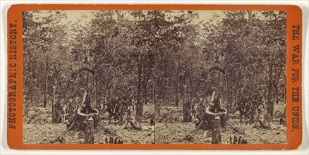 Woods on the left wing, Battle of Gettysburgh; Studio of Mathew B. Brady, American, about 1823 - 1896, July 1863; Albumen