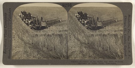 Evolution of the Sickle and Flail - 33-horse Harvester at Walla Walla, Washington; Underwood & Underwood, American, 1881 - 1940s