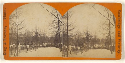 Winter View, Mt. Auburn; King & Pearson; 1880s; Albumen silver print